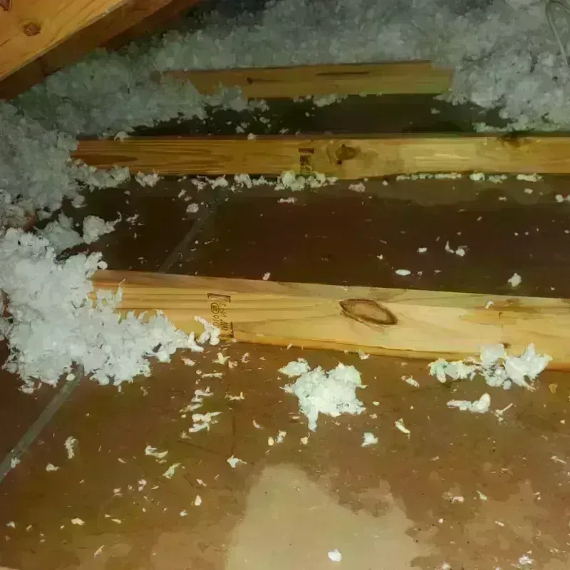 Attic Water Damage in Etna, ME